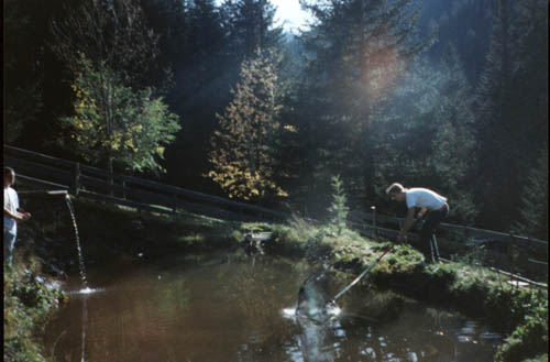 more fishing